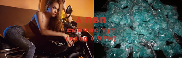 амф Майский