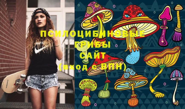 spice Белая Холуница