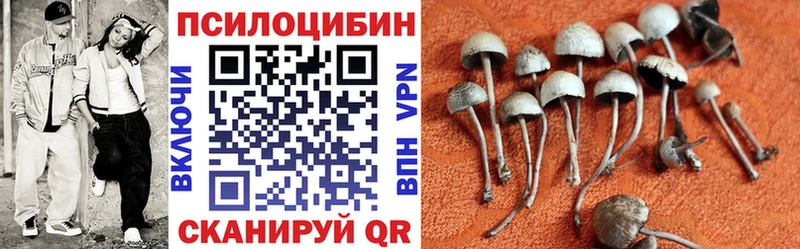 blacksprut вход  Никольское  Галлюциногенные грибы мухоморы 