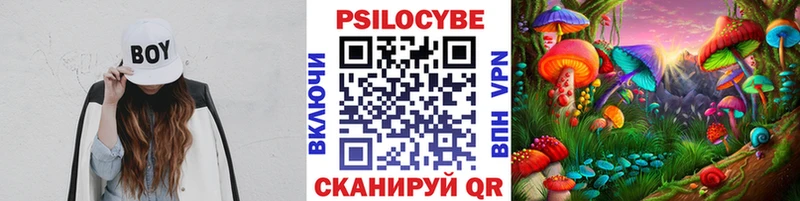 Галлюциногенные грибы Cubensis Никольское